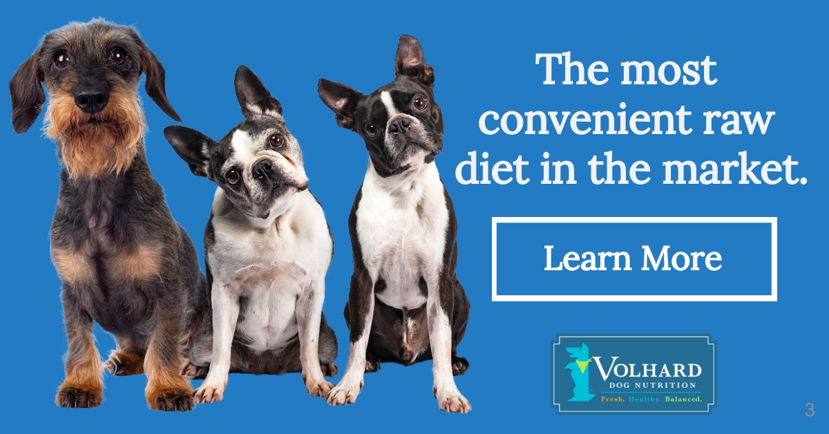 The Optimal Care for Dogs with Liver Disease - Volhard Dog Nutrition