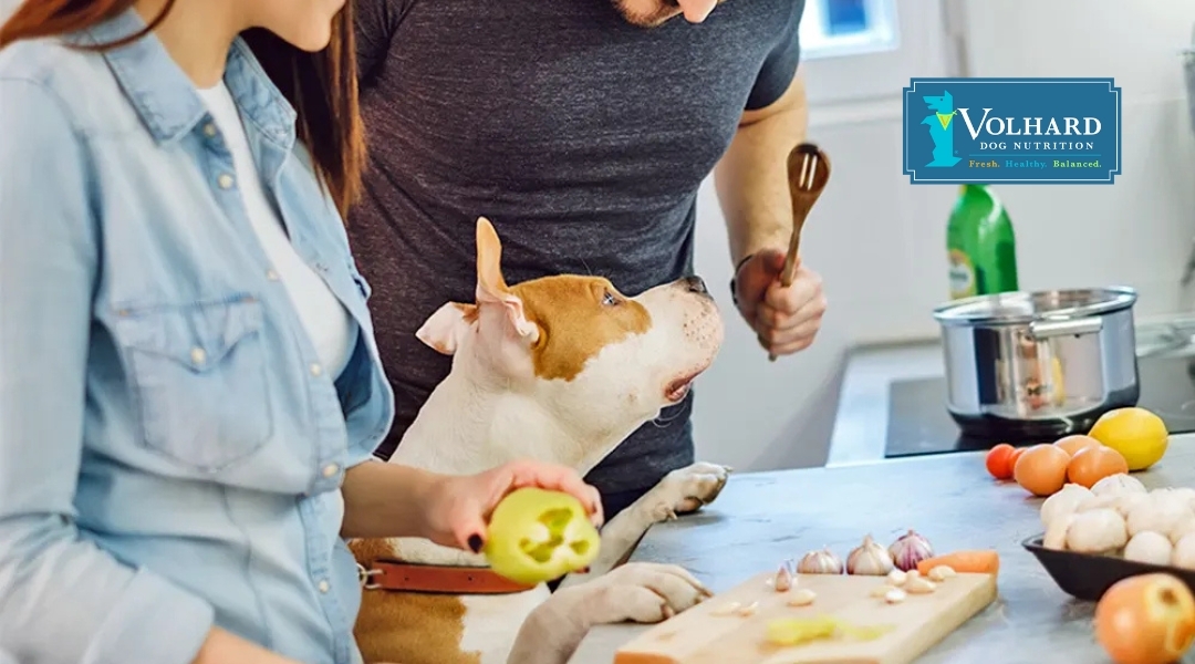 A couple prepares food in the kitchen while their dog curiously watches, with garlic and vegetables on the counter, representing homemade, holistic dog nutrition.