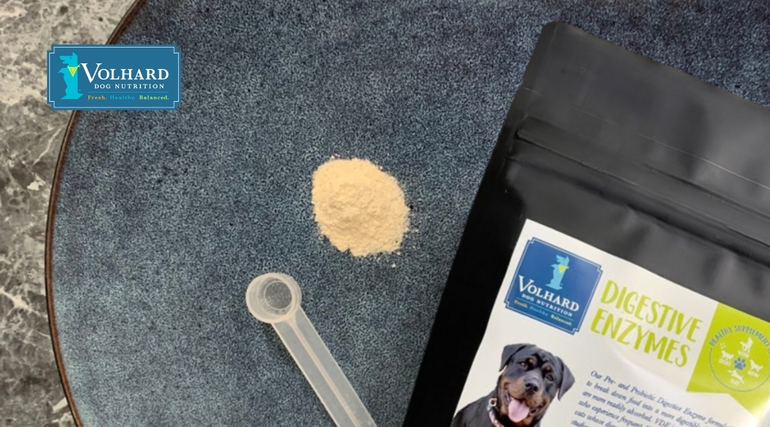 A close-up of digestive enzyme powder beside its package, demonstrating a product designed to support digestive health in dogs.