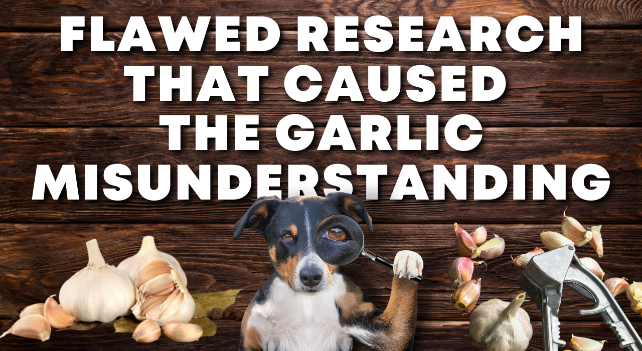 Flawed Research That Caused The Garlic Misunderstanding