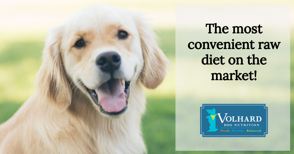 vegetables for dogs with kidney disease