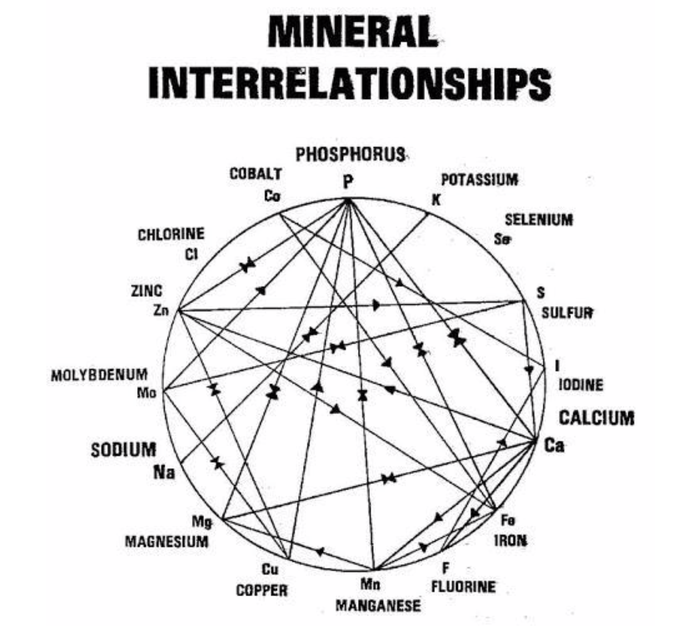 Mineral Interrelationships