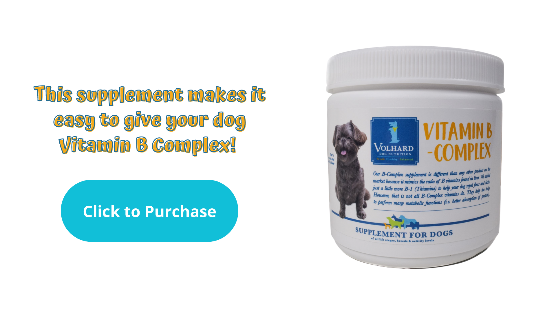 what does vitamin b do for dogs