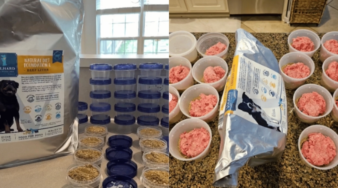 Two prep stations display Volhard Dog Nutrition’s Natural Diet Foundation 2 formulas. One setup shows labeled containers with dry mix; the other features ready-to-serve meals topped with raw meat. Both demonstrate organized meal planning for dogs.